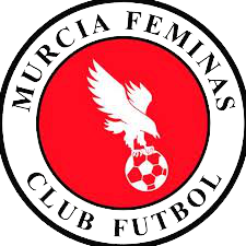 https://img.fidangarden.com/img/football/team/8922c414a65c58e46414b2601824c32d.png